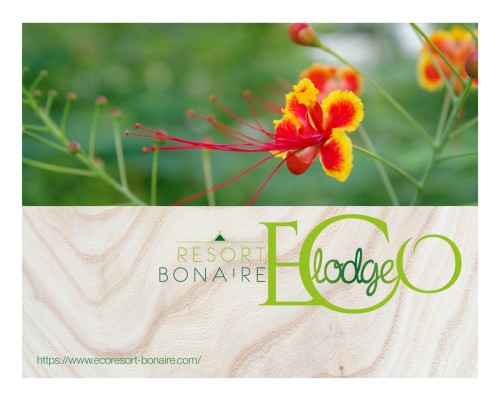 ECO LODGE RESORT - Villas and Studios